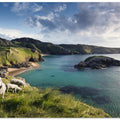 Irish Coast