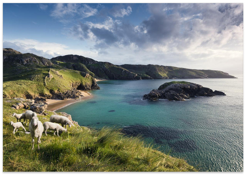 Irish Coast