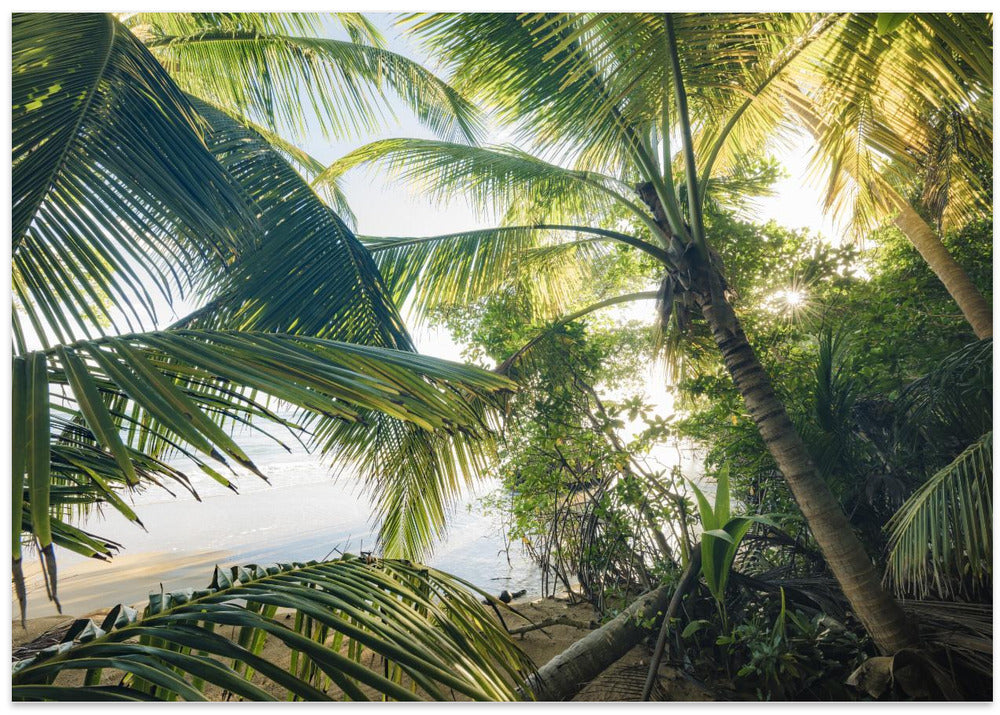 Hide under Palms