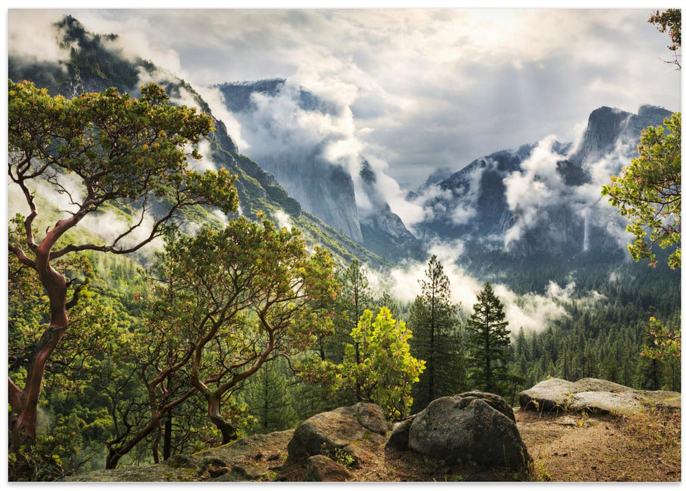 Tunnel View