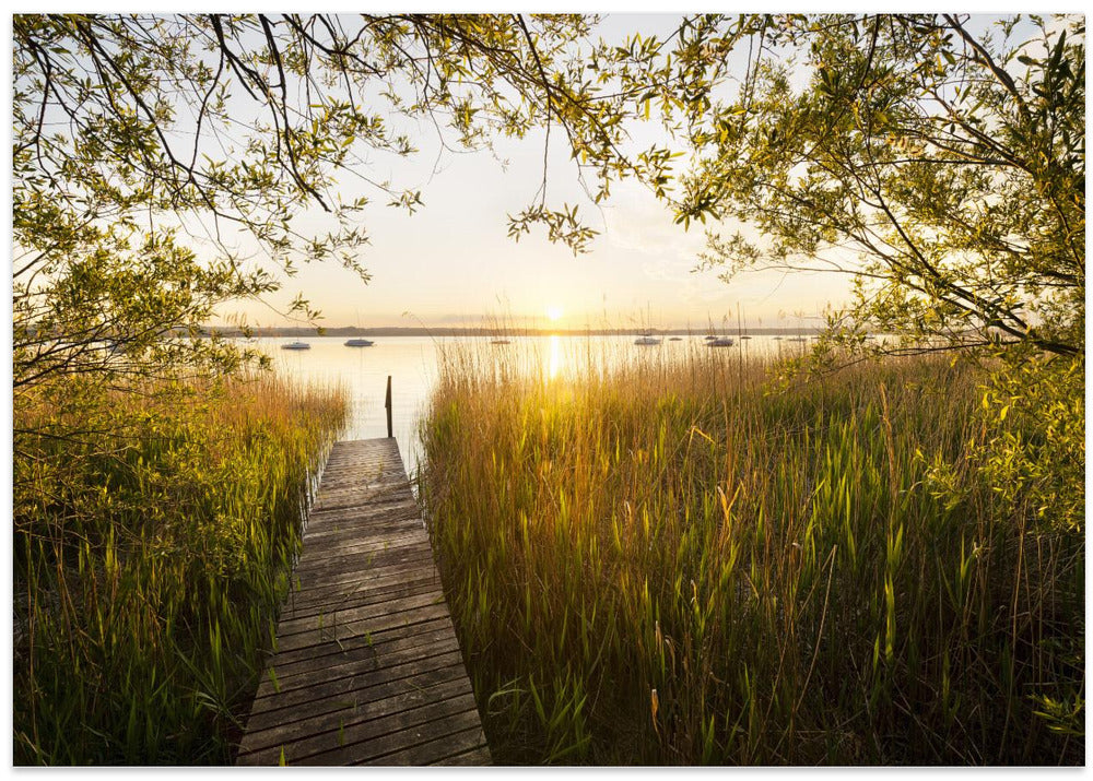 Golden Jetty
