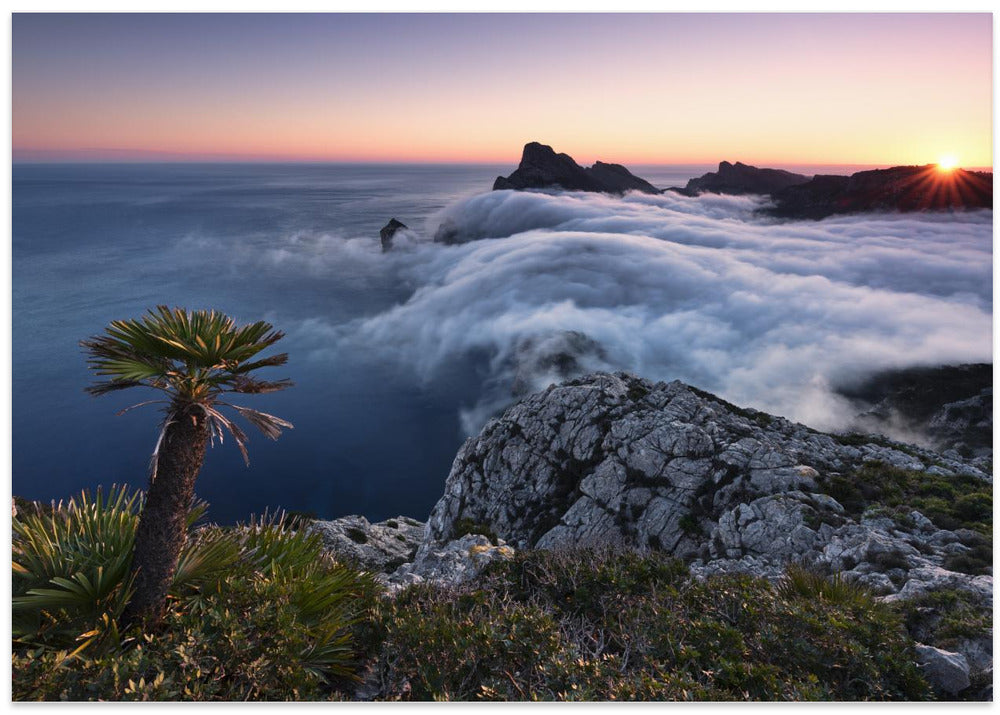 Twilight Lookout