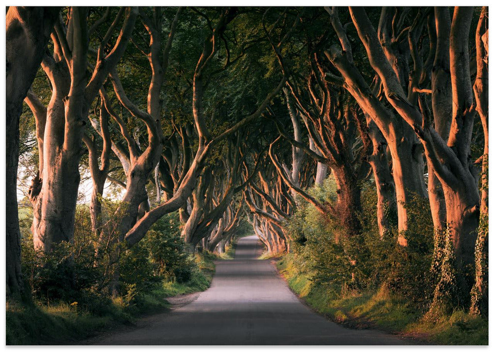 Red Avenue