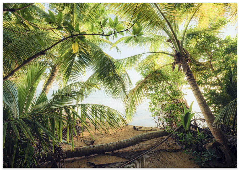 Pirates Nest
