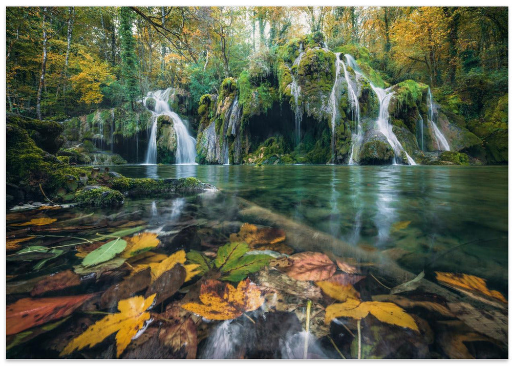 Autumn Falls