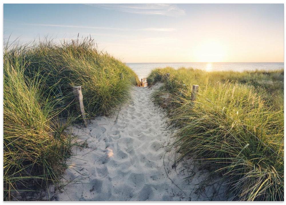 To the Beach