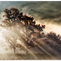 beam of light