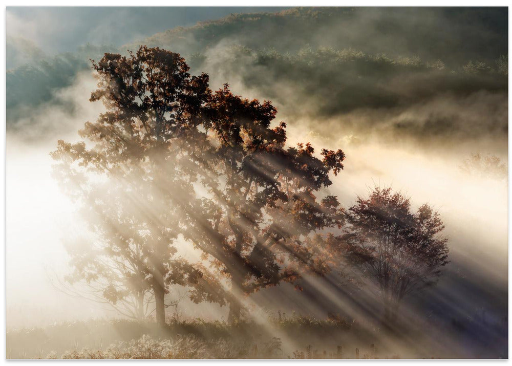 beam of light