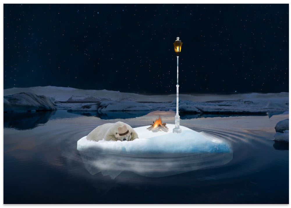Sleeping polar bear