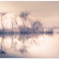 Cold morning at the pond