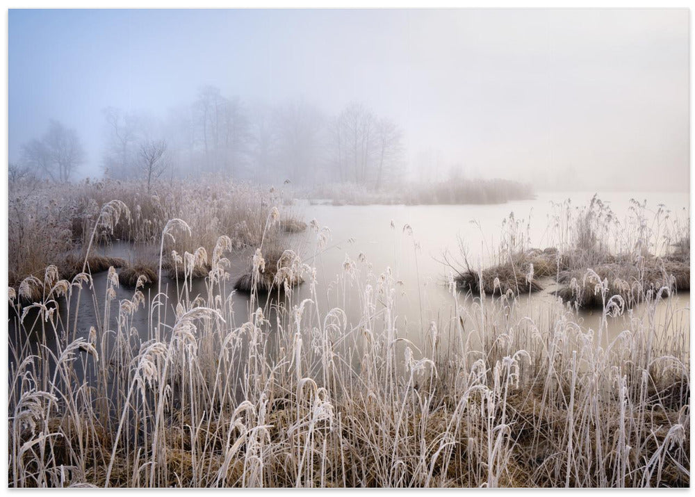 Winter in Bavaria