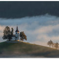 In the morning fog