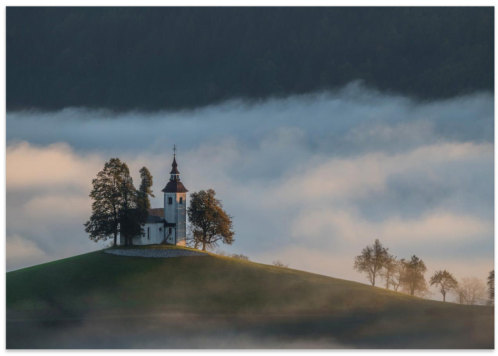 In the morning fog