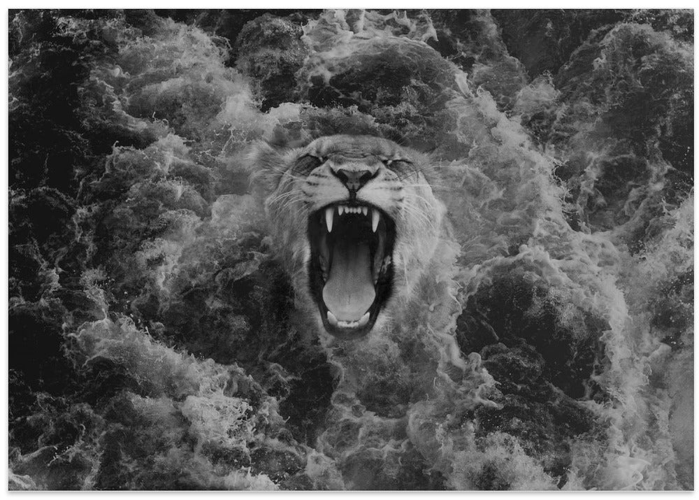A lioness