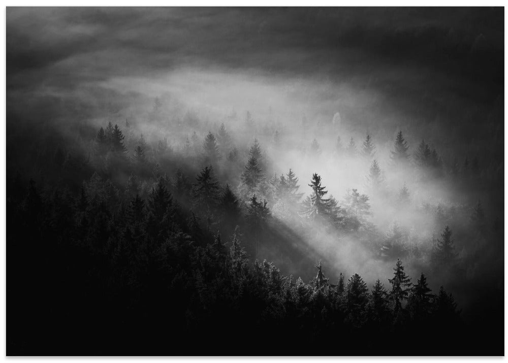 Misty