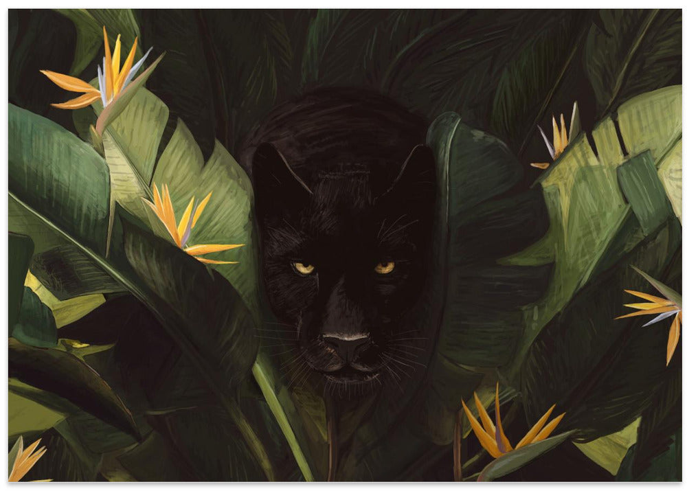 Hello Panther