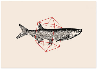 Art Prints of Fish In Geometrics Nº2