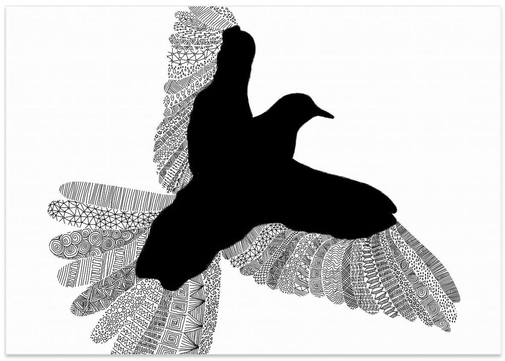 Bird   White