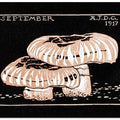 Sep-17