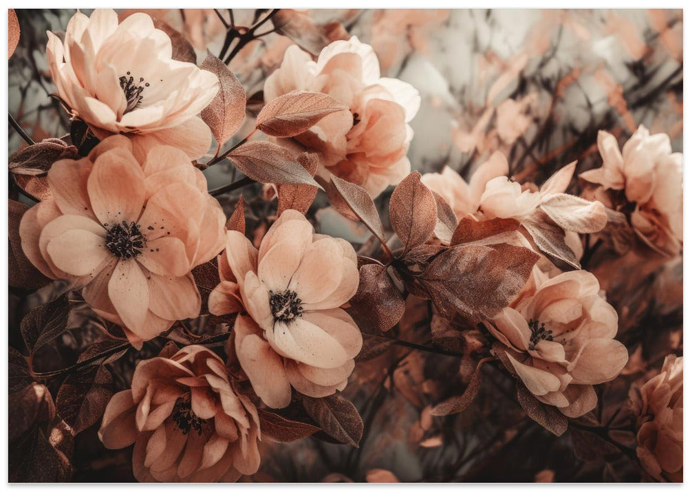 Coral Wild Peony
