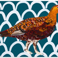 Gorgeous Grouse