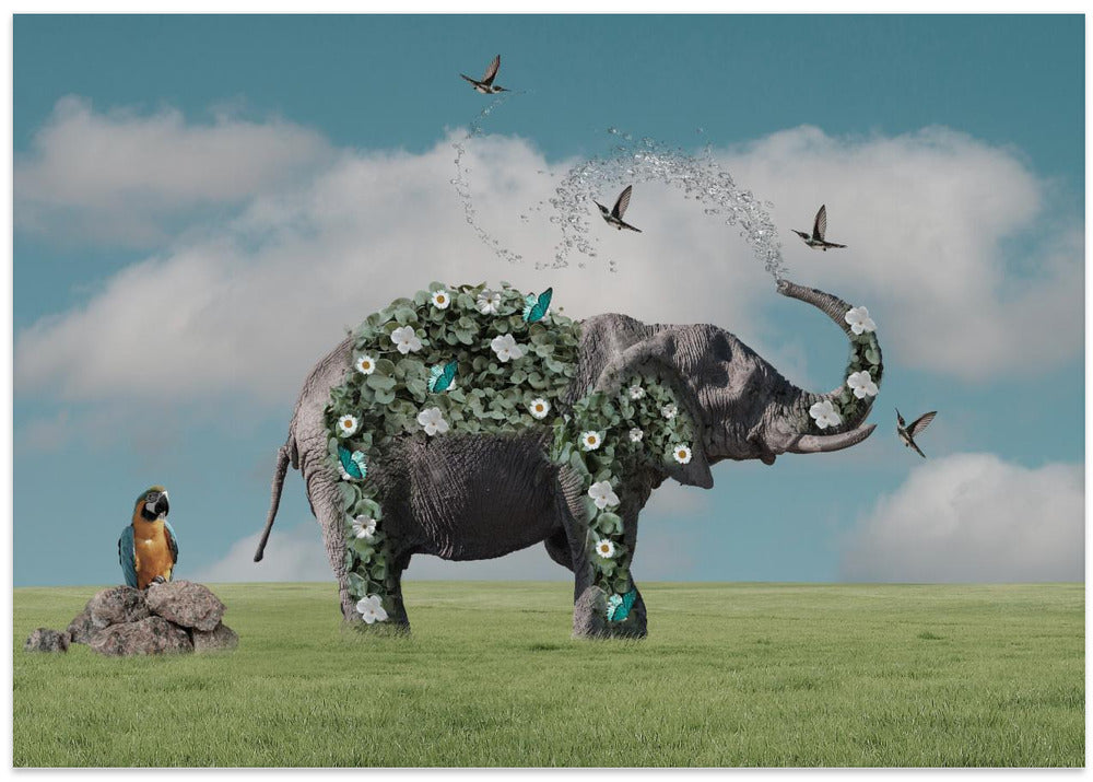 Elephant