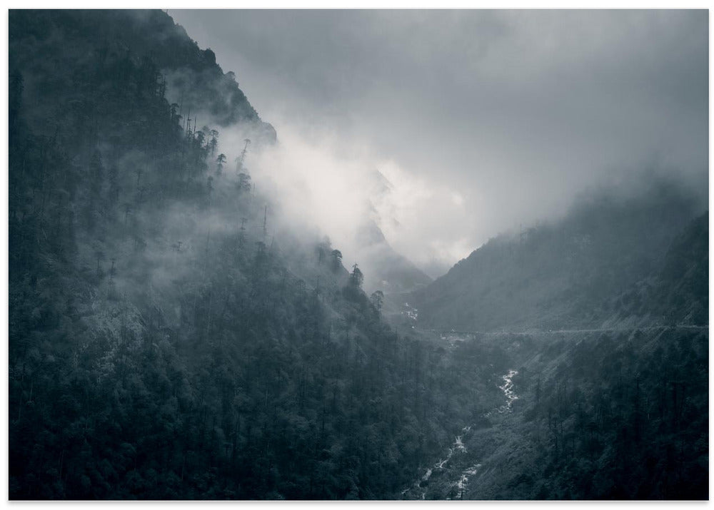 Nature's drama!