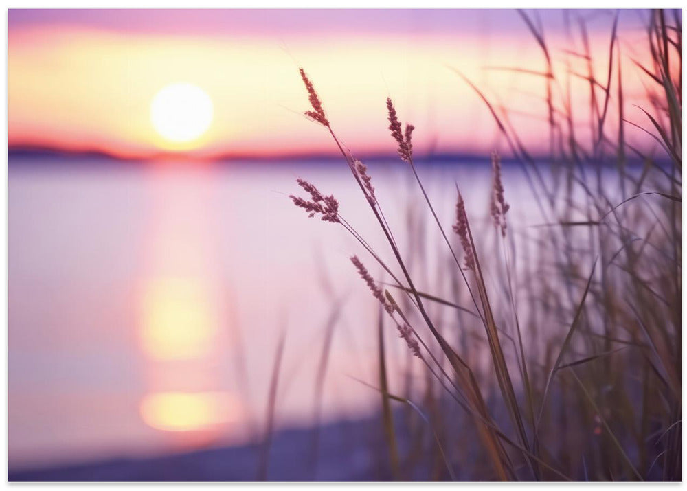 Serene Sunset Glow