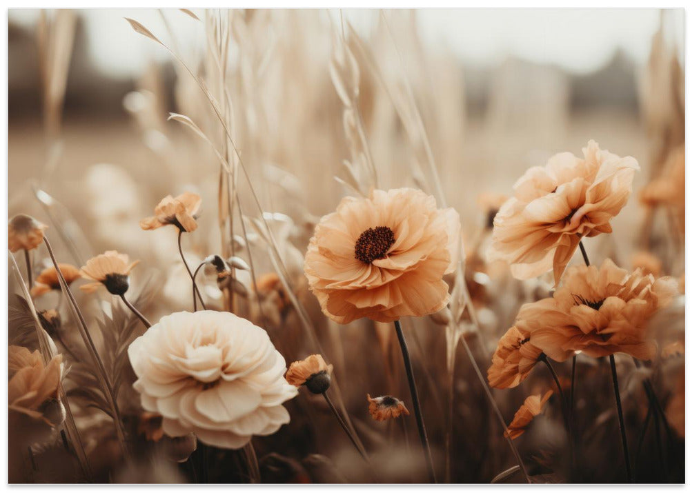 Sepia Blooms