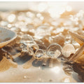 Sandy Treasures
