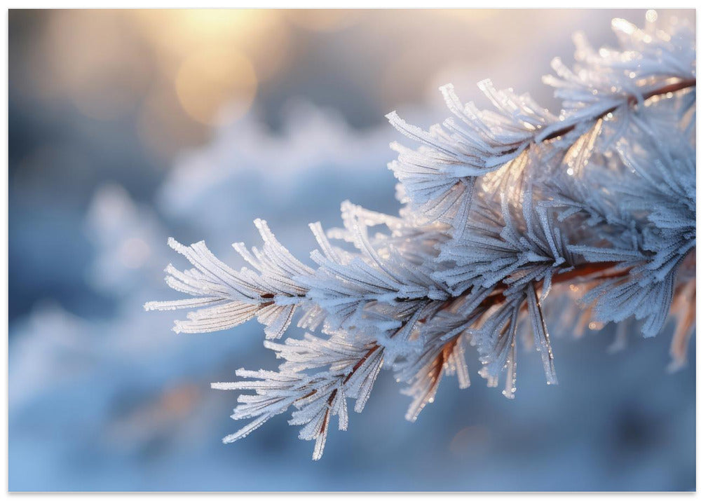 Frosted Serenity