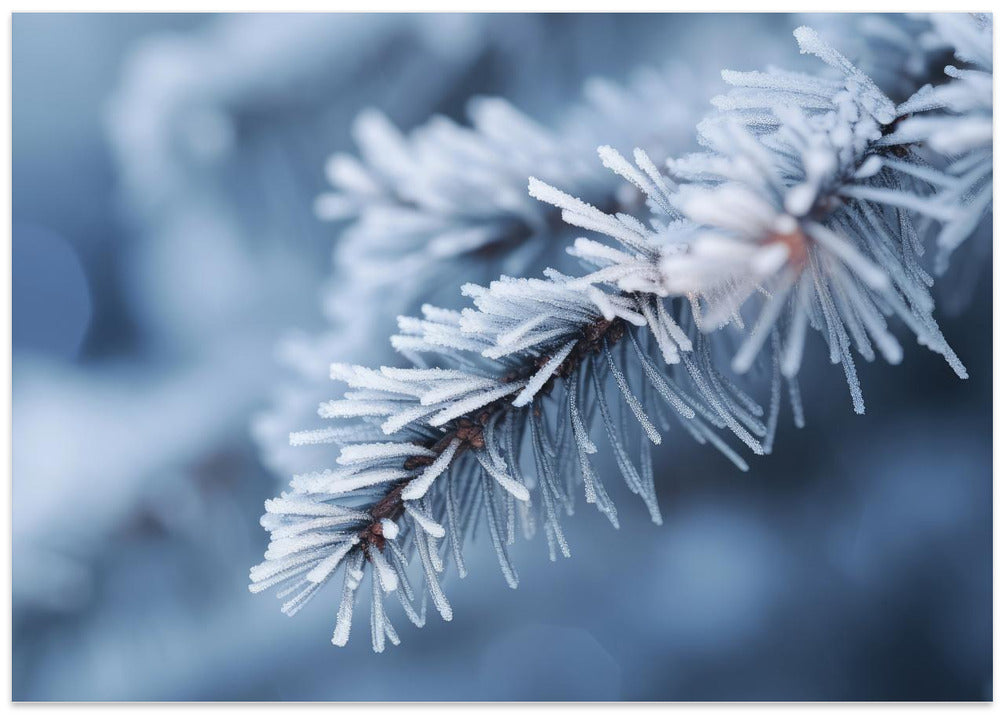 Frosty Whispers