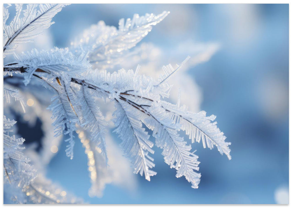 Frosted Elegance