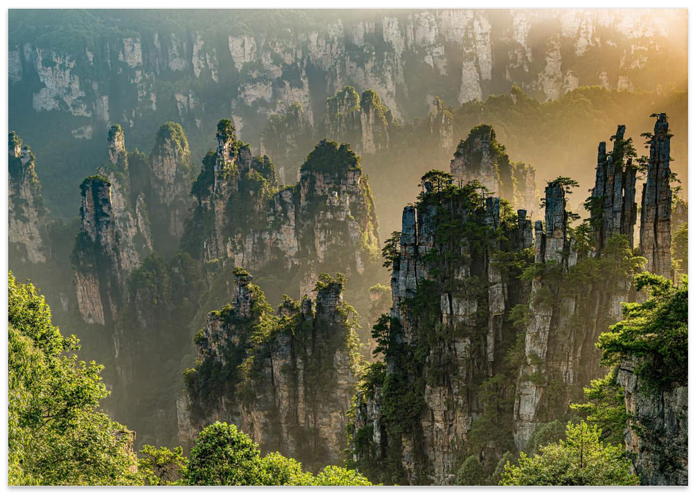 Landscape