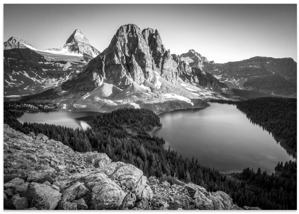 assiniboine
