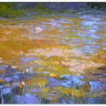 Sunlit Reflections