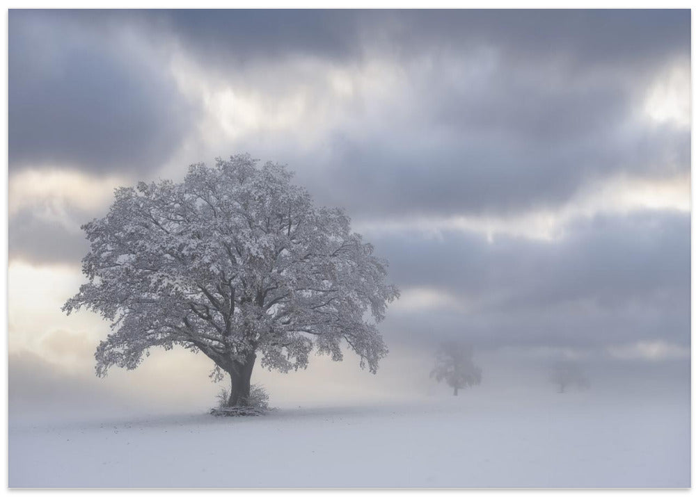 Cold morning