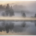 Mystic Morning III