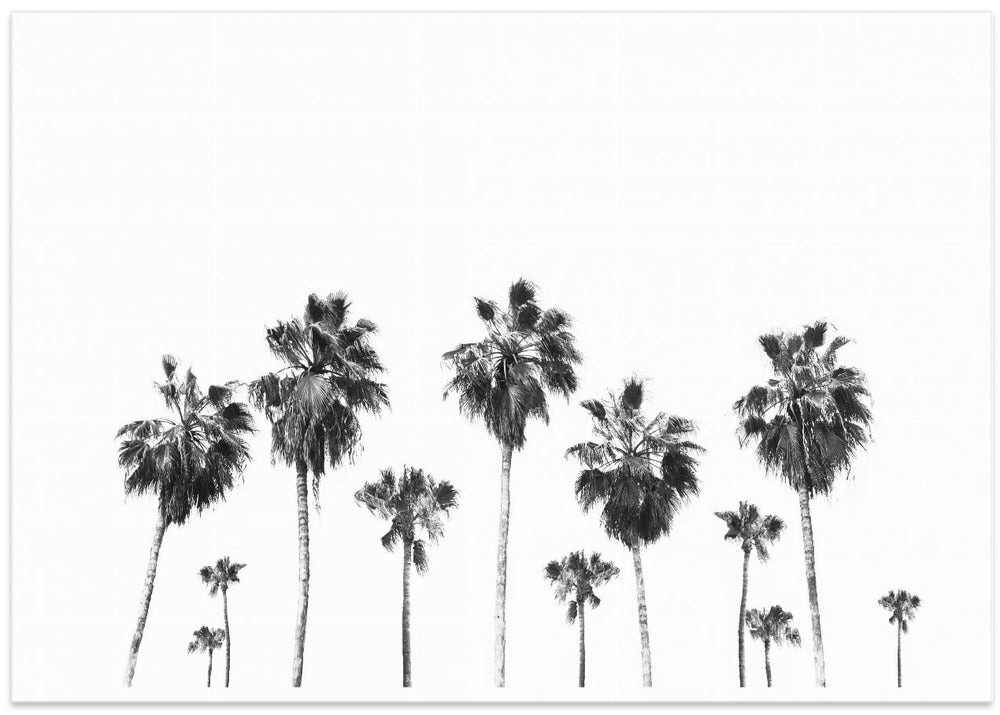 Swaying Palms