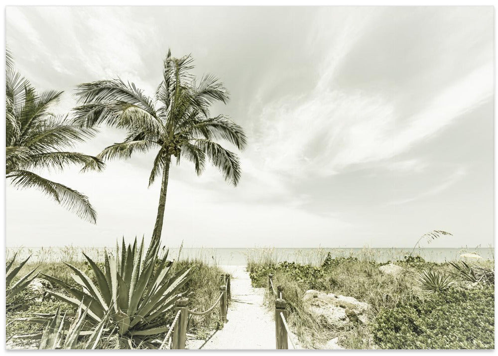 Alone at the beach