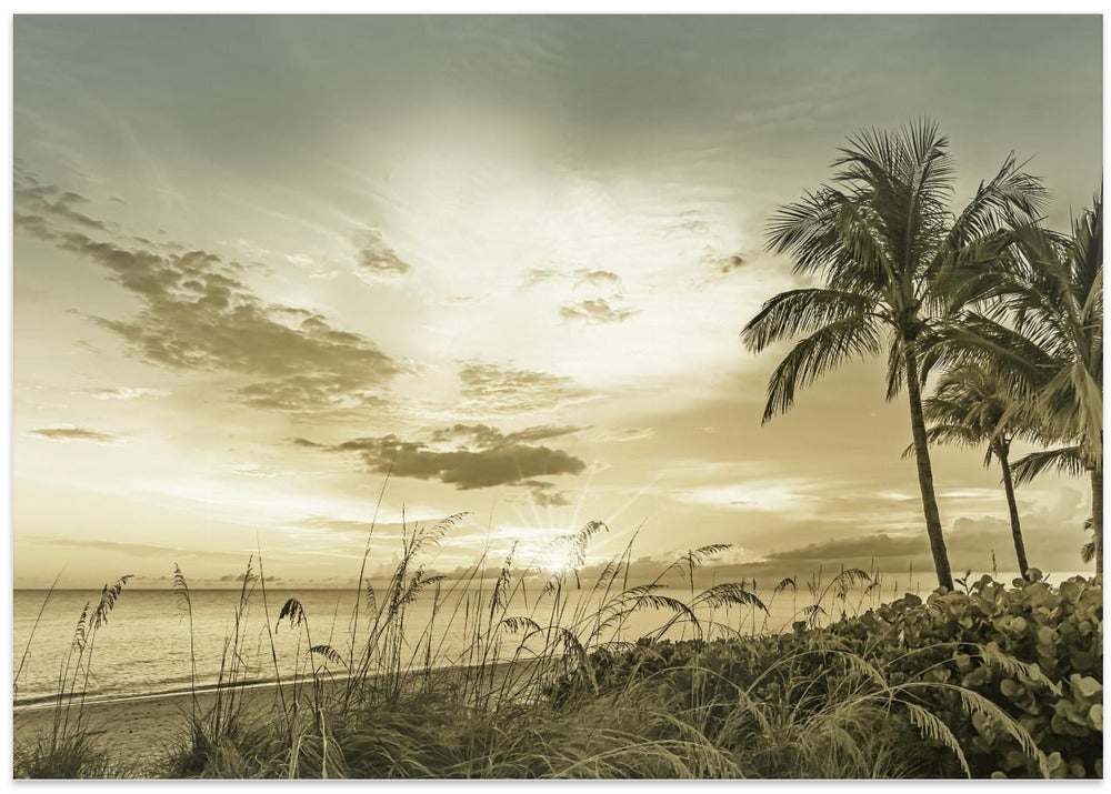 BONITA BEACH Sunset