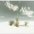 WHITE SANDS Vintage