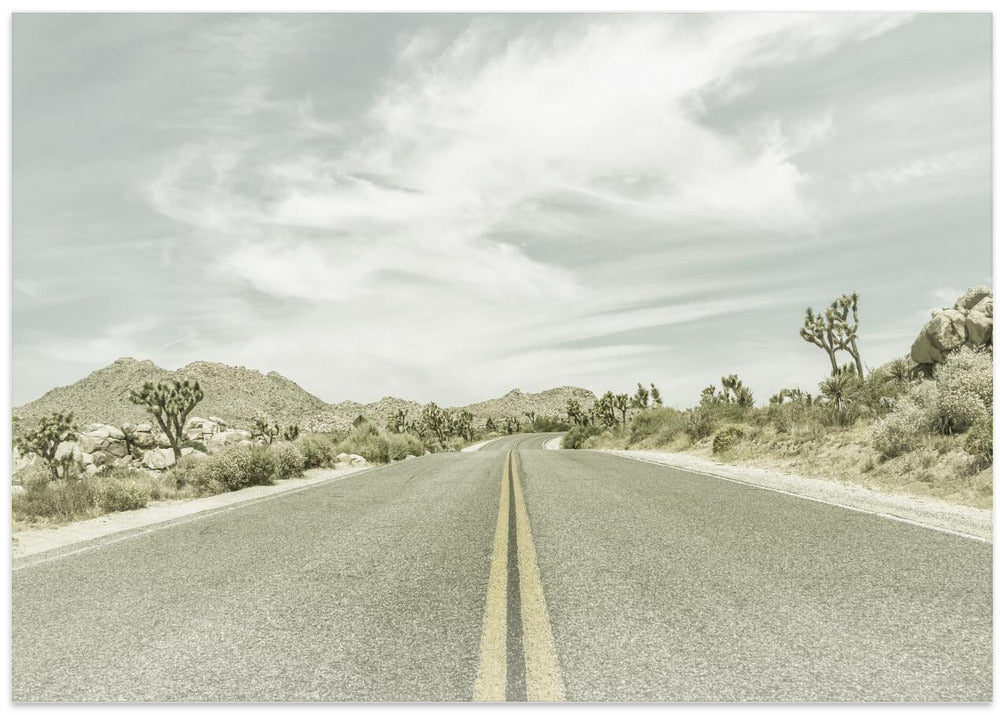 Vintage Joshua Trees, Park Boulevard
