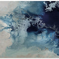 Art Prints of Coral Whispers