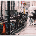 defy the snowy cold