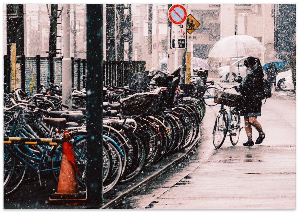 defy the snowy cold