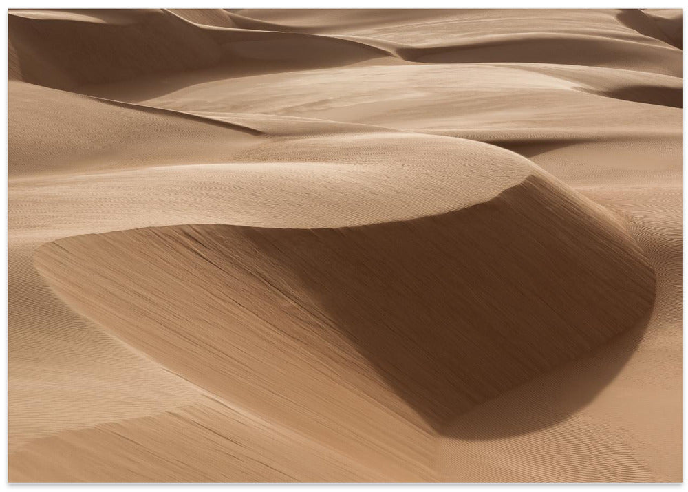 Sahara Desert
