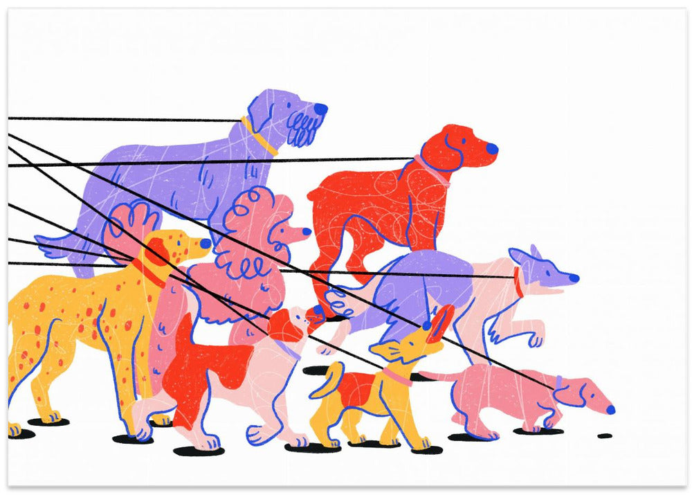 Dog Walking