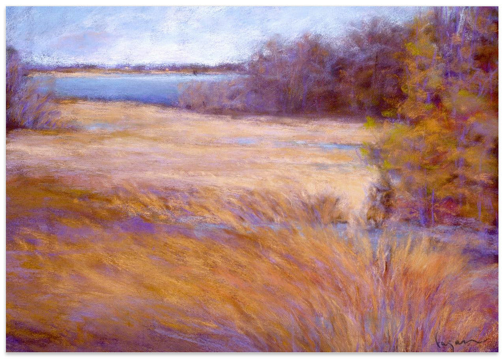 Winter Marsh
