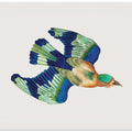 Ceylonese Roller